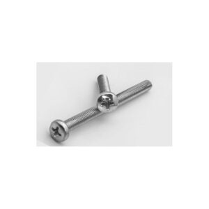 Yuvarlak Yıldız Başlı YSB Civata M5x10 - 200 Adet