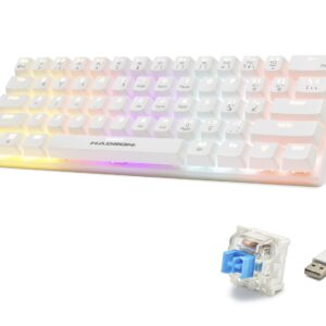 Mekanik Mini Klavye Blue Switch Rgb - Beyaz G508B